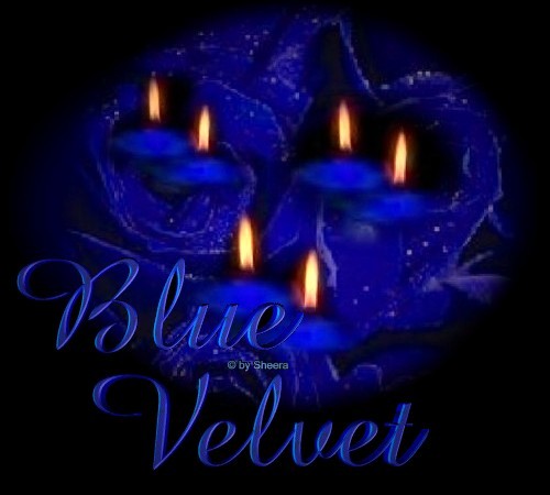 blue velvet - eingang